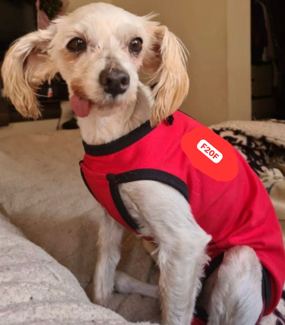 Flaca rescue mission